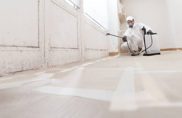 24/7 Emergency Mold Testing experts in Partlow, VA